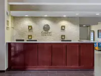 TXC01lobby1_1_original