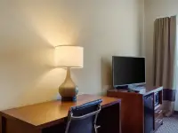 TXC01nqq4_1_original