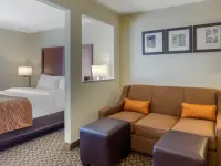 TXC01snk4_1_original